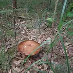 Oaza Spokoju 1 Holiday home *