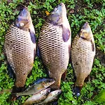 Oaza Spokoju 1 Holiday home Wersk