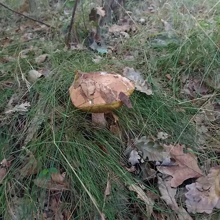 Oaza Spokoju #Naturalnie Wersk
