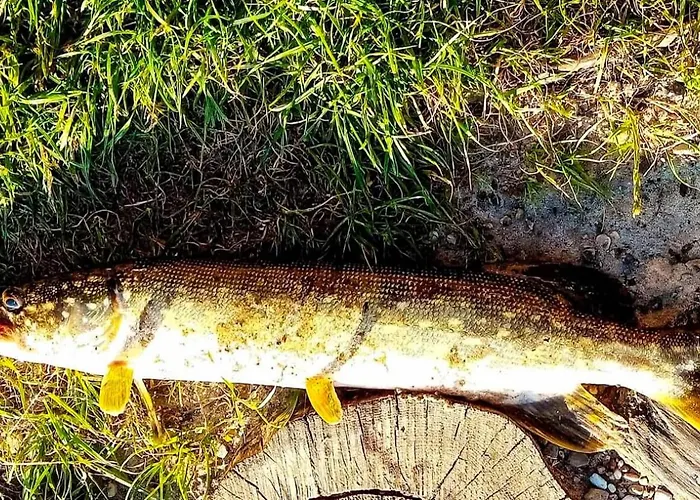 Oaza Spokoju 1 Casa de Férias *