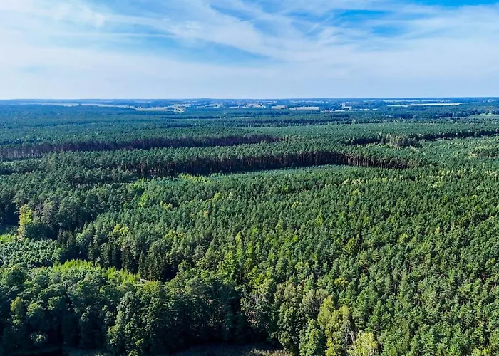 Oaza Spokoju 1 Wersk