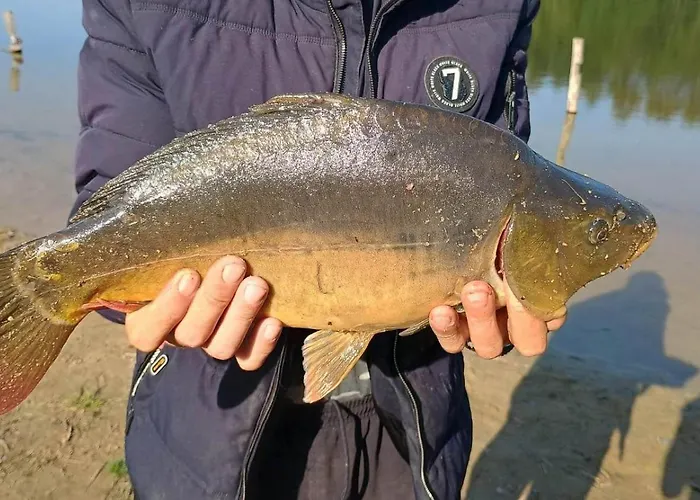 Oaza Spokoju 1 Casa de Férias